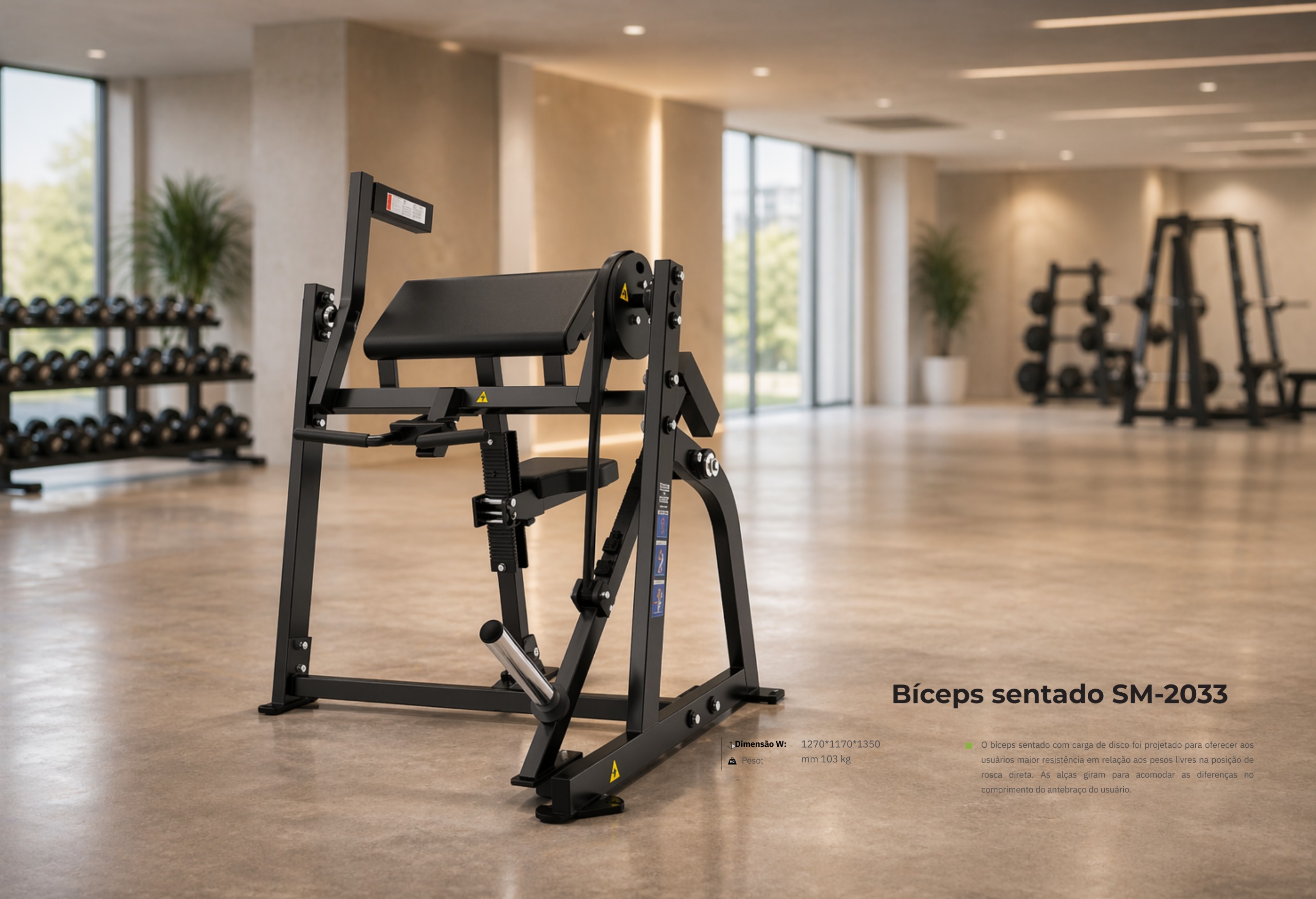 BÍCEPS SENTADO