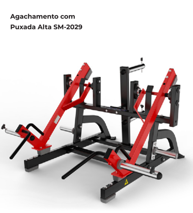 AGACHAMENTO COM PUXADA ALTA