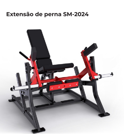 EXTENSÃO DE PERNA