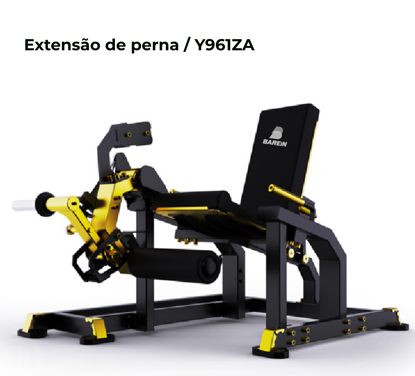 EXTENSÃO DE PERNA