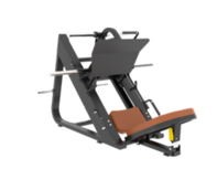 LEG PRESS