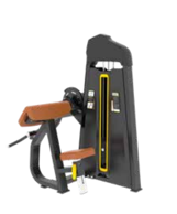 BICEPS MAQUINA BATERIA DE PESO 45 GRAUS