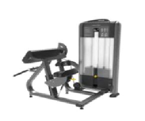 BICEPS MAQUINA BATERIA DE PESO 45 GRAUS
