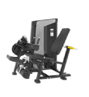 EXTENSÃO / FLEXÃODE PERNA
