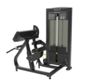 BICEPS MAQUINA BATERIA DE PESO 45 GRAUS