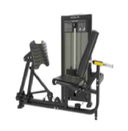 LEG PRESS