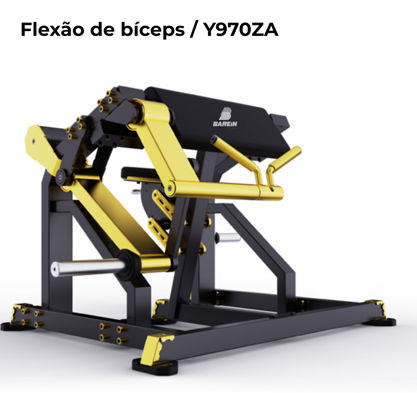 FLEXÃO DE BÍCEPS