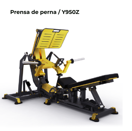 PRENSA DE PERNA