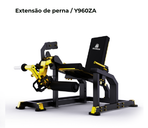 EXTENSÃO DE PERNA