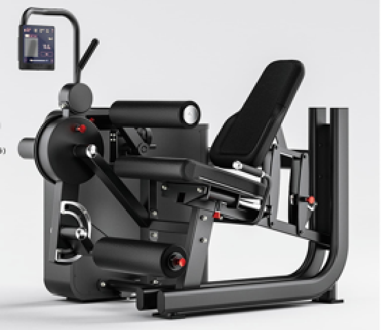 LEG EXTENSION CURL